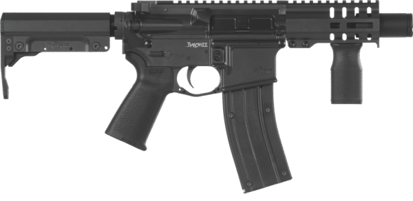 Banshee 300 Rifle, Mk4, 22LR, NFA - Image 3