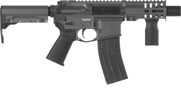 Banshee 300 Rifle, Mk4, 22LR, NFA - Image 5