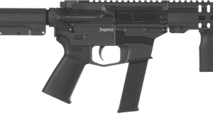 Banshee 300 Rifle, MkGs, 40 S&W, NFA
