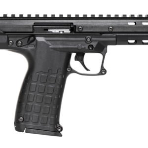 Kel-Tec CP33 22LR Pistol with Two 33-Round Magazines
