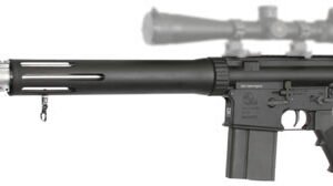Armalite AR10 Rifle 10TBNF260, 260 Remington, 22 in, A2 Buttstock, Black/Stainless Finish